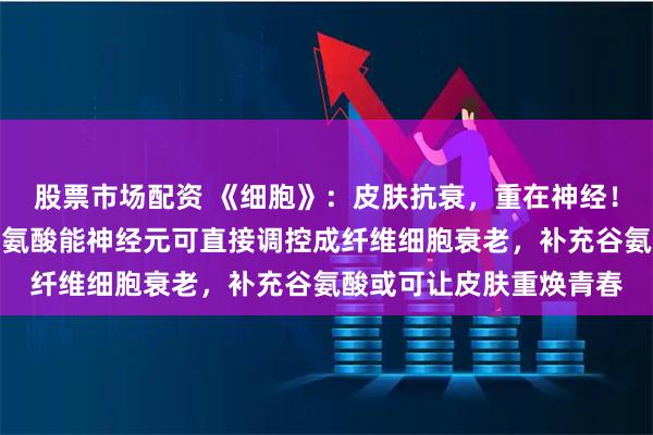股票市场配资 《细胞》：皮肤抗衰，重在神经！上交团队发现，皮肤谷氨酸能神经元可直接调控成纤维细胞衰老，补充谷氨酸或可让皮肤重焕青春